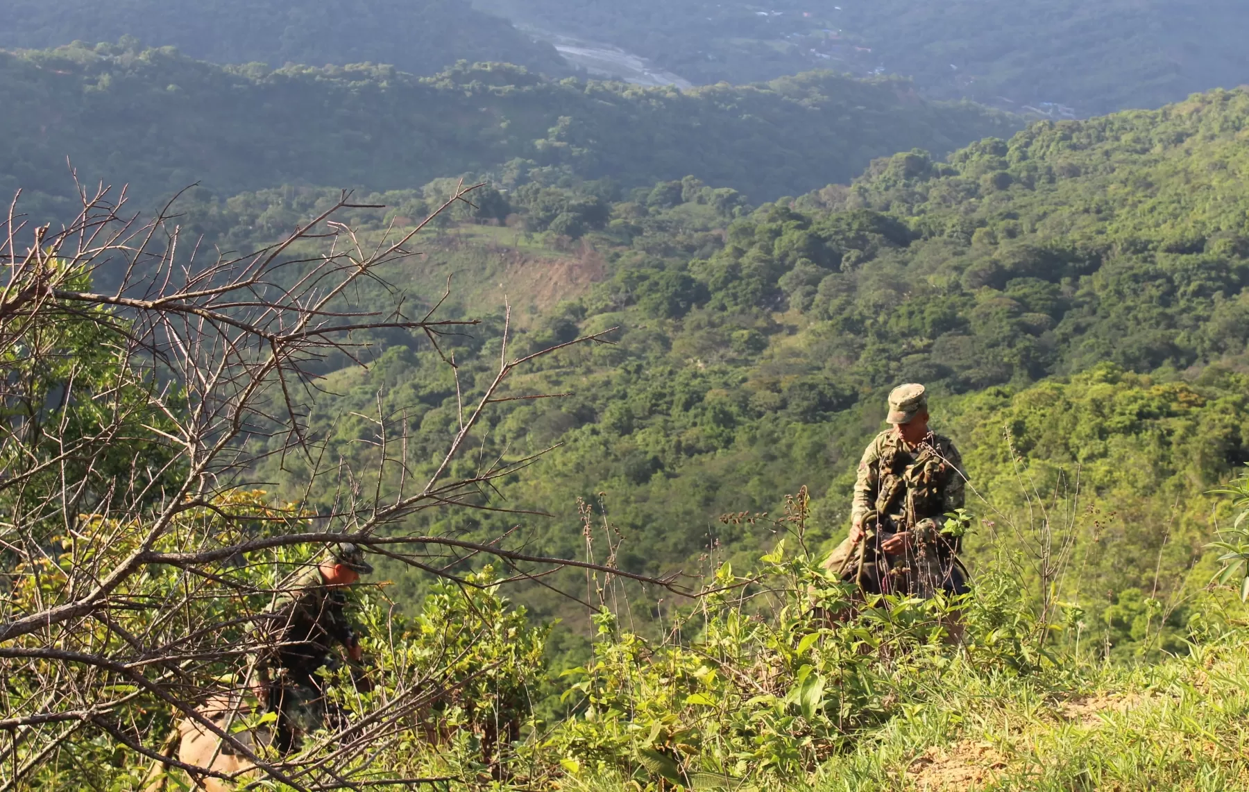 Soldados del Ejército Nacional han liderado importantes proyectos de protección y preservación del medio ambiente. 